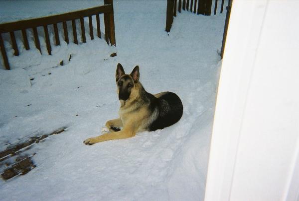 Member Uploaded Image